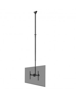 Neomounts Flat Screen Ceiling Mount (Height: 250-3