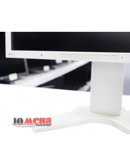 Eizo FlexScan S2100