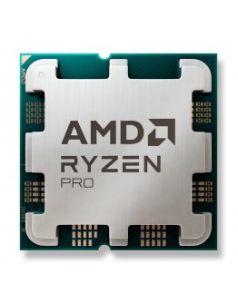 AMD RYZEN 3 PRO 8300G MPK