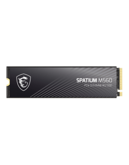 MSI SPATIUM M560 2T PCIE5.0