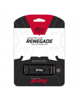 KINGSTON SFYRDK/2000G RENEGATE