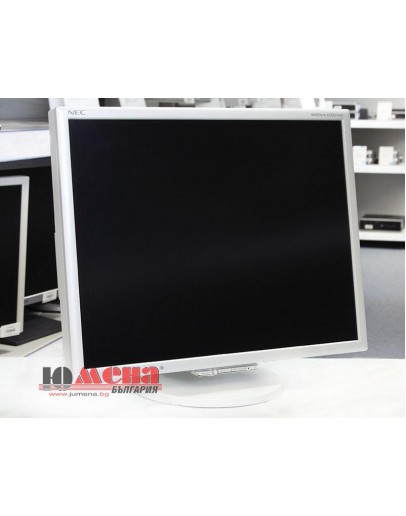 NEC MultiSync LCD2170NX