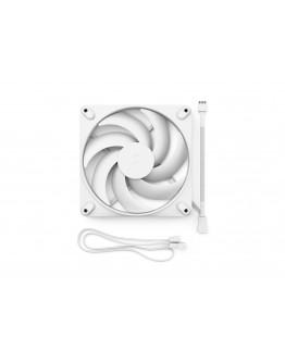 FD MOMENTUM 14 WHITE