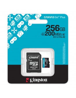 256GB SDMIC KINGST CANV GO+ G4